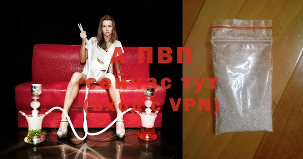 гашик Няндома