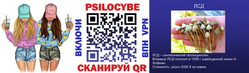 Псилоцибиновые грибы GOLDEN TEACHER  Чишмы 