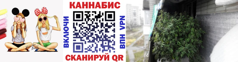 Канабис планчик  omg ссылки  Чишмы  наркошоп 